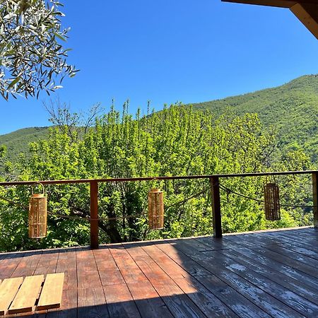 ヴァルローギュ Les Magnels Bed & Breakfast エクステリア 写真